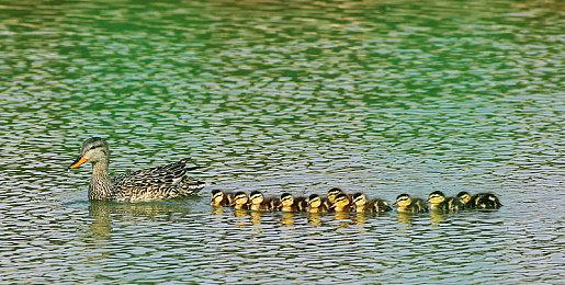 Steam推出新栏目 专门展示Steam最热门游戏排名